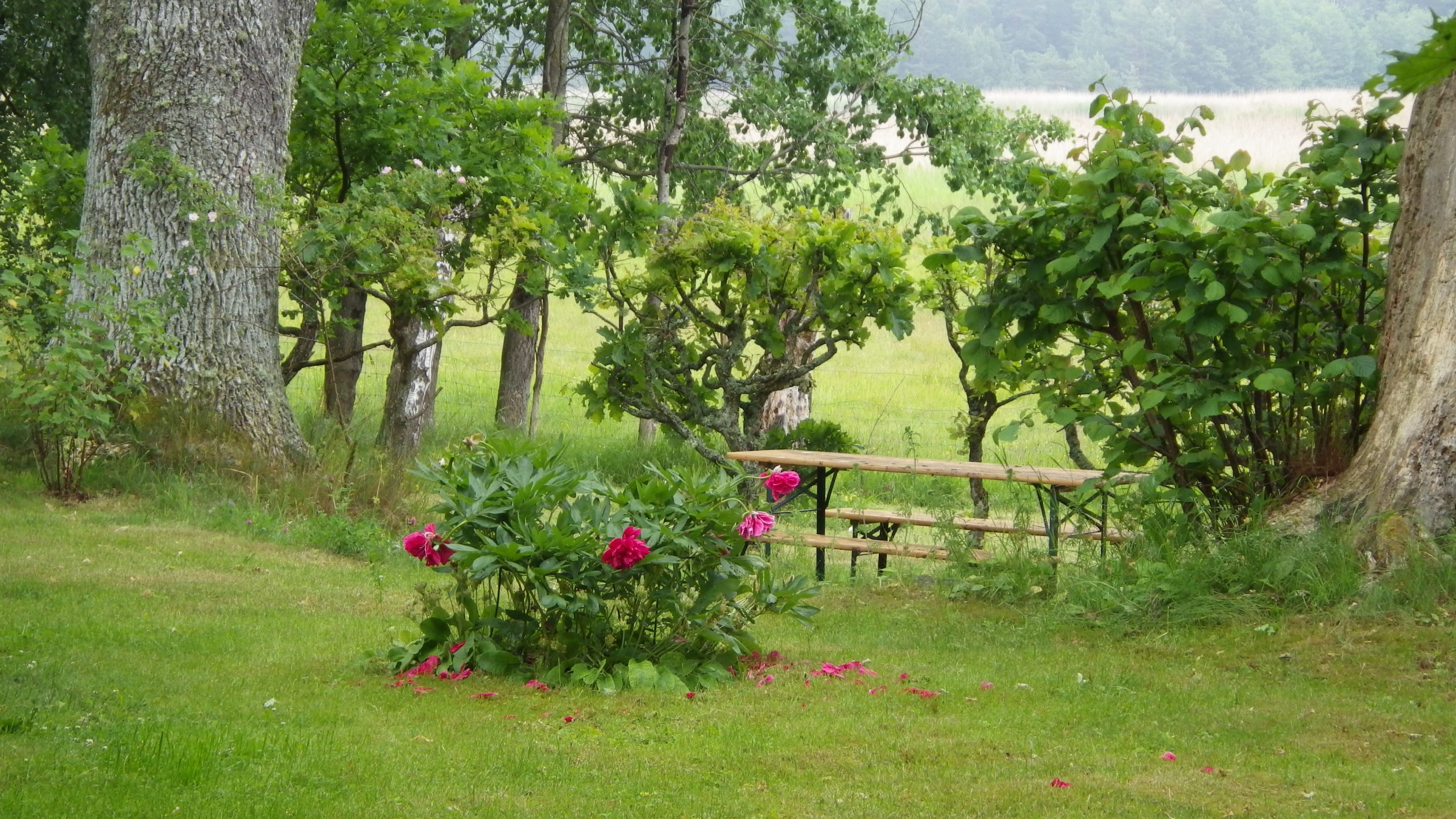 Picnic Table